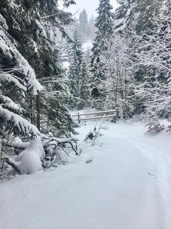 Winterfell Korbielow - Dom Z Basenem Sezonowym Lipiec-Sierpien Экстерьер фото